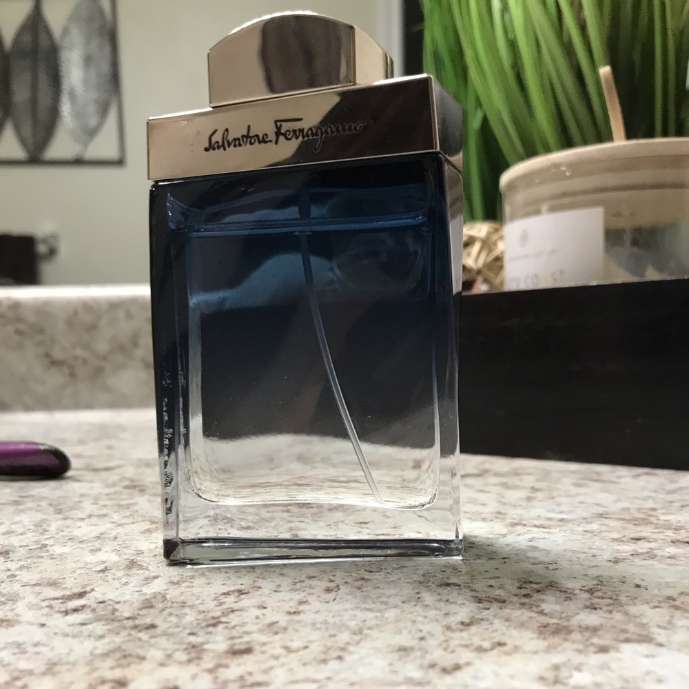 Subtle Salvatore Ferragamo
